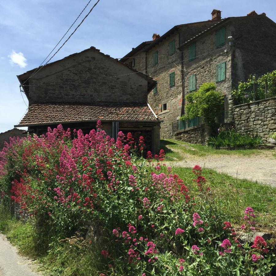 Castello Di Urbech Apartment Pratovecchio Exterior foto